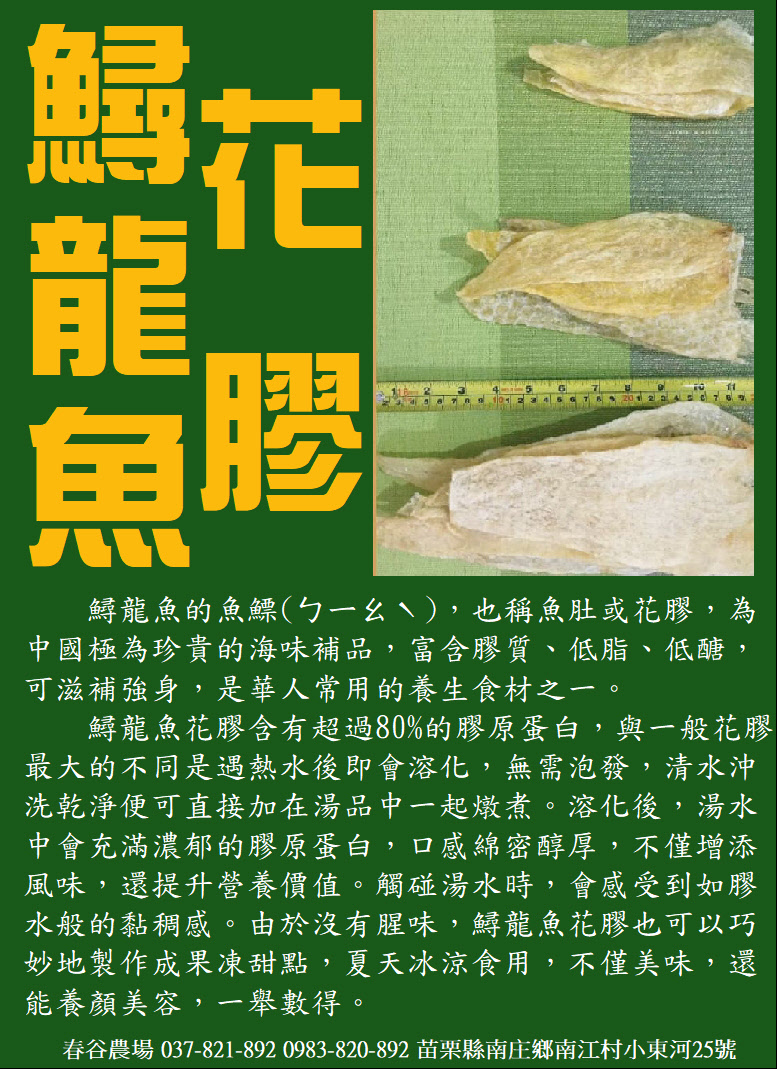 鱘龍魚花膠伴手禮DM：包含免泡發烹調教學、80%膠原蛋白高營養價值說明與訂購資訊