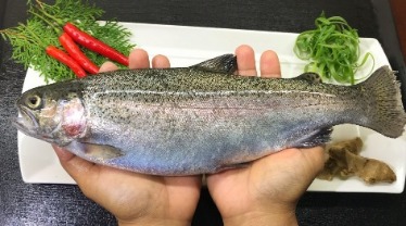 春谷農場專業生鮮人員將鮮鱒魚現挑現殺、徹底洗淨處理之衛生流程