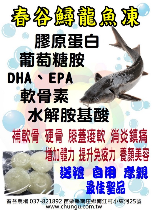 鱘龍魚凍冷凍實品 南庄春谷休閒農場明星商品鱘龍魚凍之冷凍狀態實品外觀與精緻包裝
